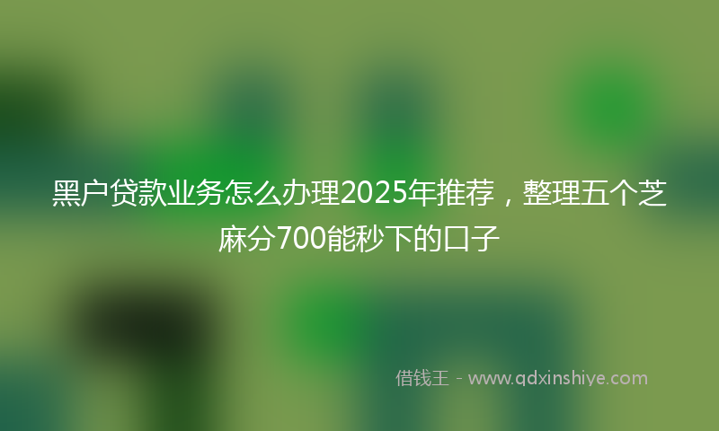 黑户贷款业务怎么办理2025年推荐，整理五个芝麻分700能秒下的口子