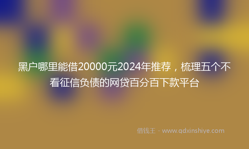 黑户哪里能借20000元2024年推荐，梳理五个不看征信负债的网贷百分百下款平台