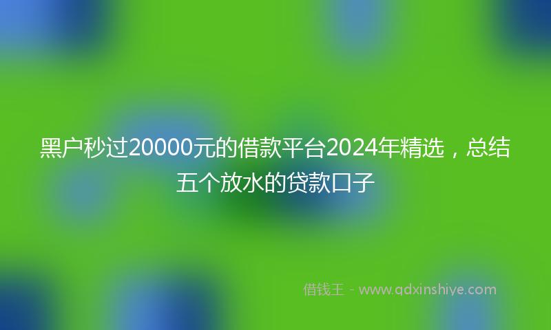 黑户秒过20000元的借款平台2024年精选，总结五个放水的贷款口子