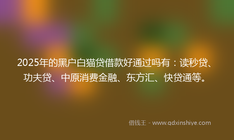 2025年的黑户白猫贷借款好通过吗有：读秒贷、功夫贷、中原消费金融、东方汇、快贷通等。