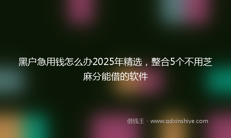 黑户急用钱怎么办2025年精选，整合5个不用芝麻分能借的软件