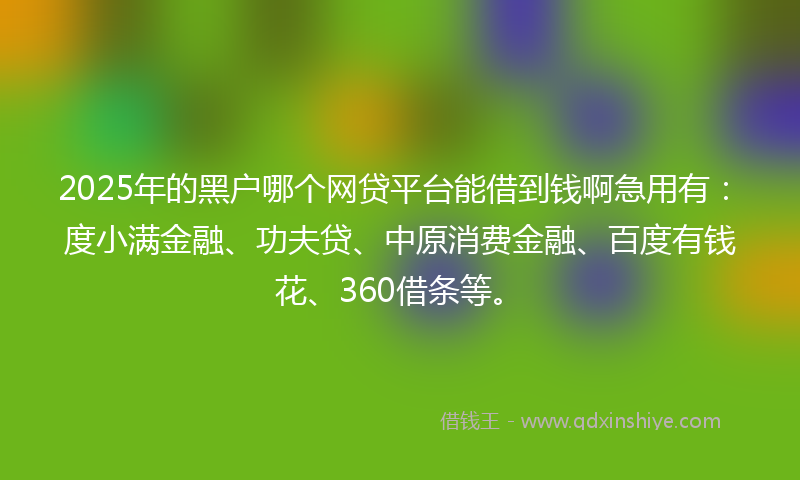 2025年的黑户哪个网贷平台能借到钱啊急用有：度小满金融、功夫贷、中原消费金融、百度有钱花、360借条等。