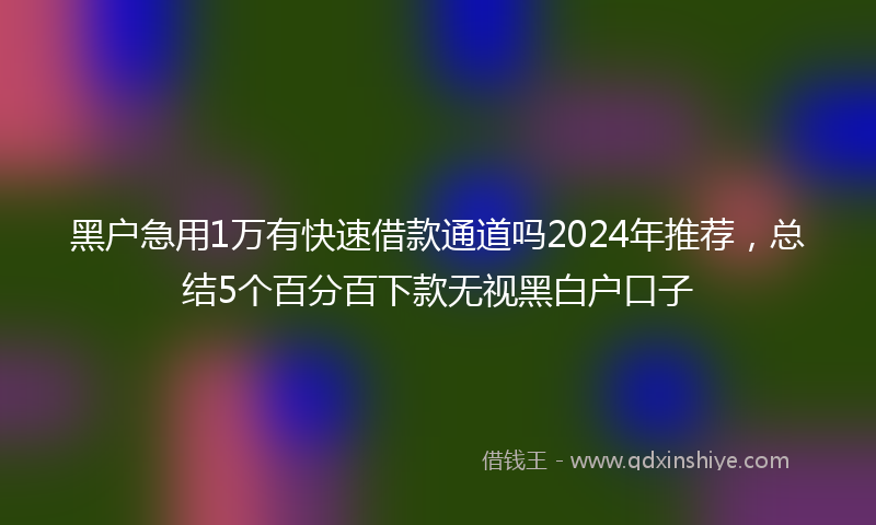 黑户急用1万有快速借款通道吗2024年推荐，总结5个百分百下款无视黑白户口子
