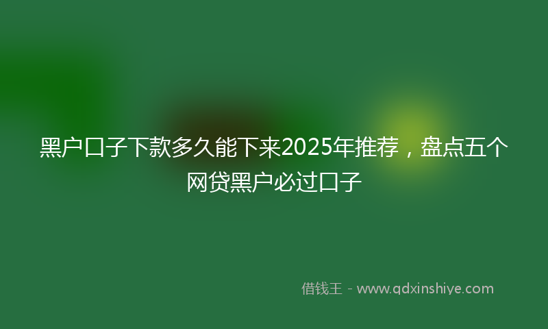 黑户口子下款多久能下来2025年推荐，盘点五个网贷黑户必过口子