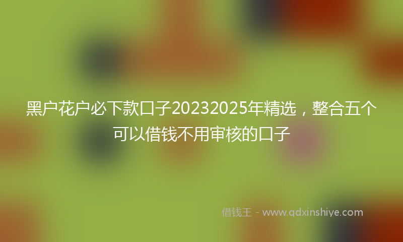 黑户花户必下款口子20232025年精选，整合五个可以借钱不用审核的口子