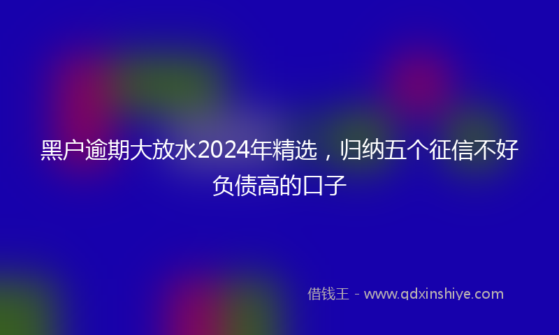 黑户逾期大放水2024年精选，归纳五个征信不好负债高的口子