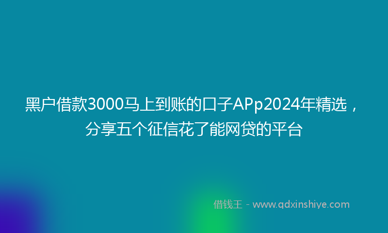 黑户借款3000马上到账的口子APp2024年精选，分享五个征信花了能网贷的平台