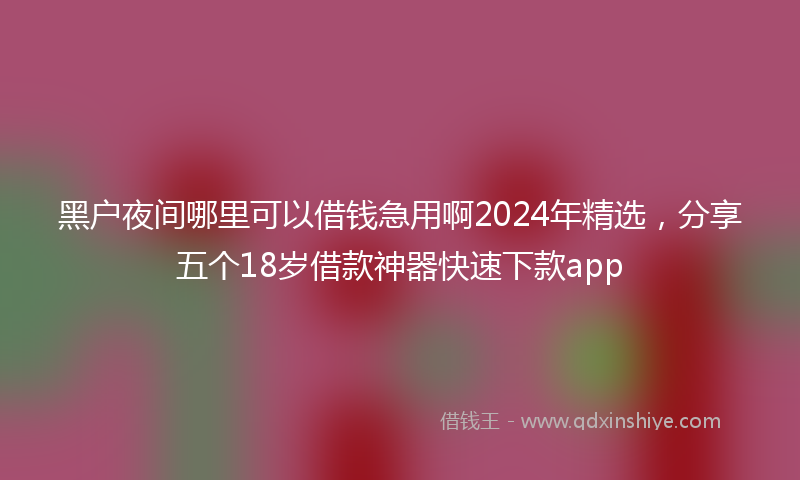 黑户夜间哪里可以借钱急用啊2024年精选，分享五个18岁借款神器快速下款app
