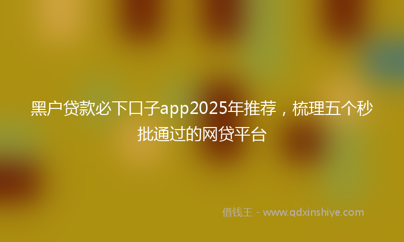 黑户贷款必下口子app2025年推荐，梳理五个秒批通过的网贷平台