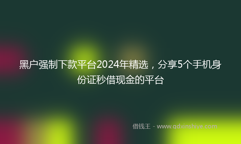 黑户强制下款平台2024年精选，分享5个手机身份证秒借现金的平台