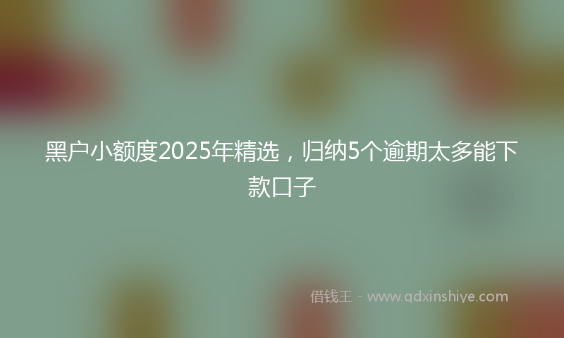 黑户小额度2025年精选，归纳5个逾期太多能下款口子