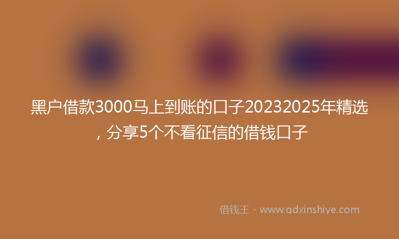 黑户借款3000马上到账的口子20232025年精选，分享5个不看征信的借钱口子