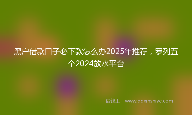 黑户借款口子必下款怎么办2025年推荐，罗列五个2024放水平台