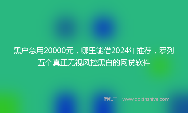黑户急用20000元，哪里能借2024年推荐，罗列五个真正无视风控黑白的网贷软件