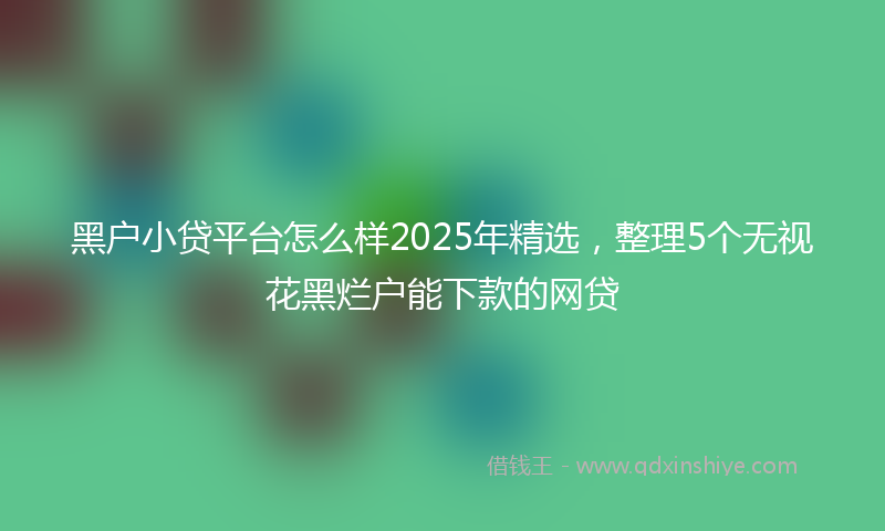 黑户小贷平台怎么样2025年精选，整理5个无视花黑烂户能下款的网贷