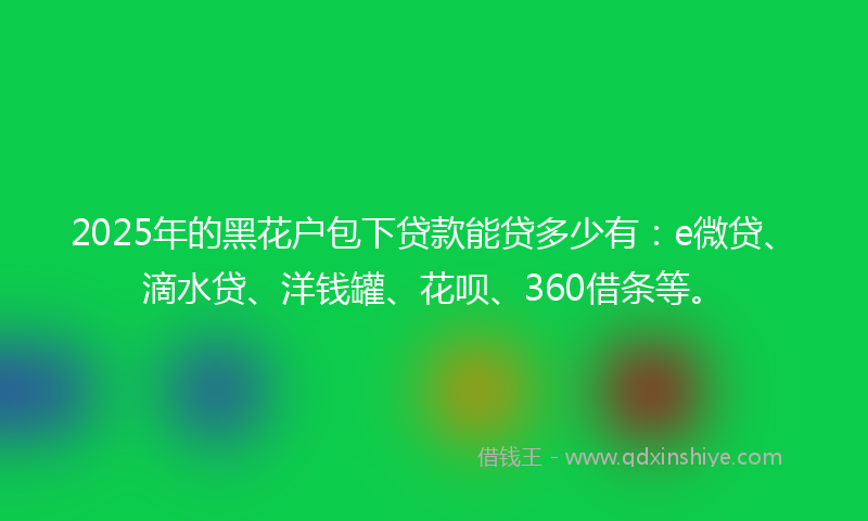 2025年的黑花户包下贷款能贷多少有：e微贷、滴水贷、洋钱罐、花呗、360借条等。