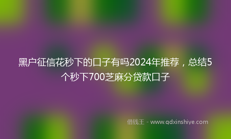 黑户征信花秒下的口子有吗2024年推荐，总结5个秒下700芝麻分贷款口子
