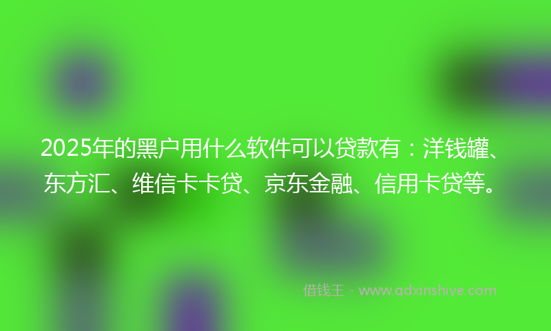 2025年的黑户用什么软件可以贷款有：洋钱罐、东方汇、维信卡卡贷、京东金融、信用卡贷等。