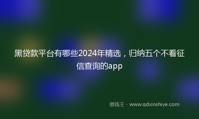 黑贷款平台有哪些2024年精选，归纳五个不看征信查询的app