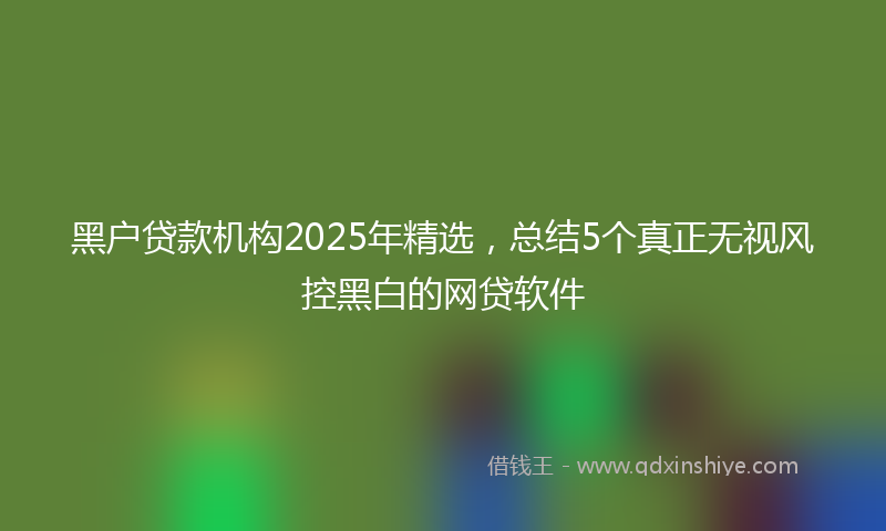 黑户贷款机构2025年精选，总结5个真正无视风控黑白的网贷软件