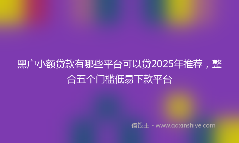 黑户小额贷款有哪些平台可以贷2025年推荐，整合五个门槛低易下款平台