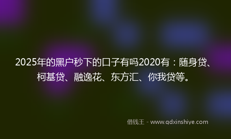 2025年的黑户秒下的口子有吗2020有：随身贷、柯基贷、融逸花、东方汇、你我贷等。