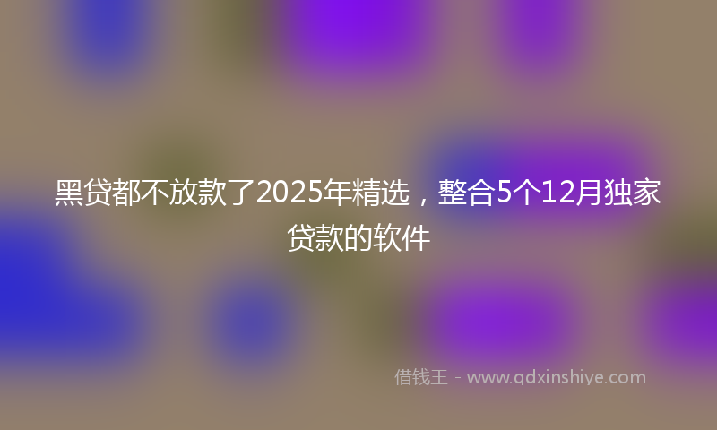黑贷都不放款了2025年精选，整合5个12月独家贷款的软件