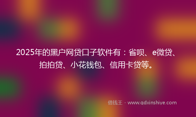 2025年的黑户网贷口子软件有：省呗、e微贷、拍拍贷、小花钱包、信用卡贷等。