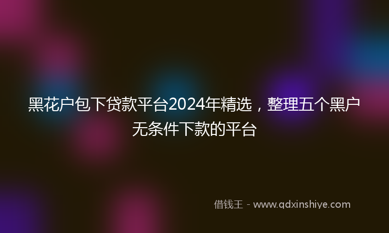 黑花户包下贷款平台2024年精选，整理五个黑户无条件下款的平台