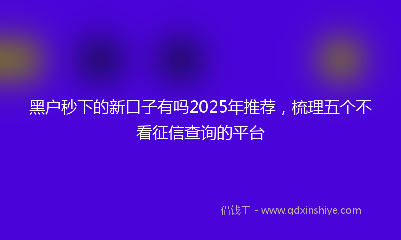 黑户秒下的新口子有吗2025年推荐，梳理五个不看征信查询的平台