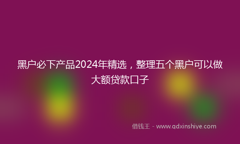 黑户必下产品2024年精选，整理五个黑户可以做大额贷款口子