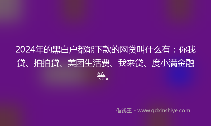 2024年的黑白户都能下款的网贷叫什么有：你我贷、拍拍贷、美团生活费、我来贷、度小满金融等。