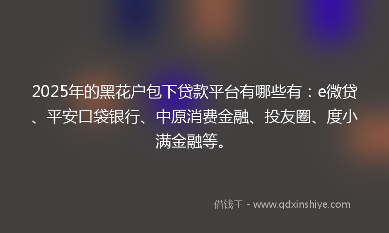 2025年的黑花户包下贷款平台有哪些有：e微贷、平安口袋银行、中原消费金融、投友圈、度小满金融等。