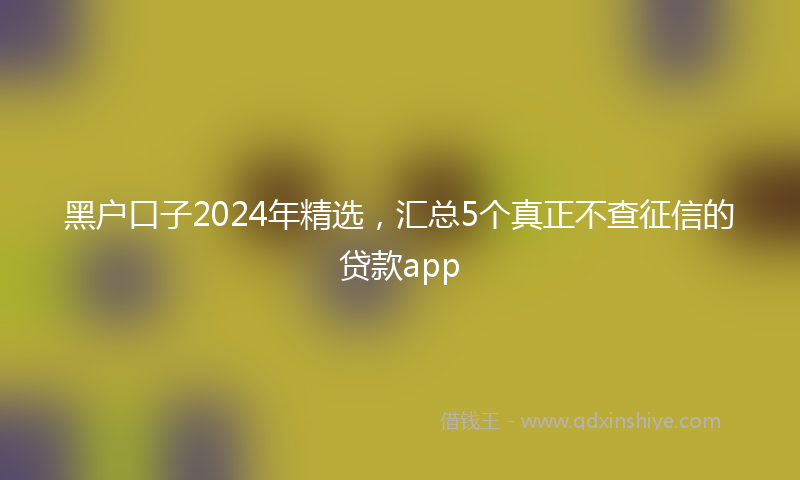 黑户口子2024年精选，汇总5个真正不查征信的贷款app