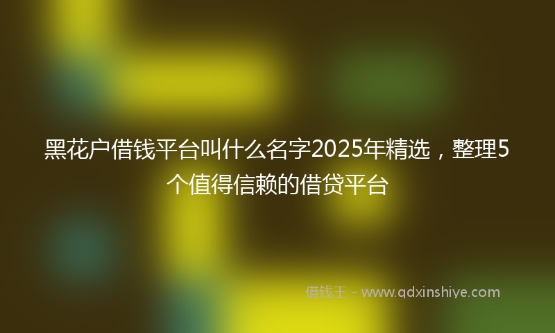 黑花户借钱平台叫什么名字2025年精选，整理5个值得信赖的借贷平台