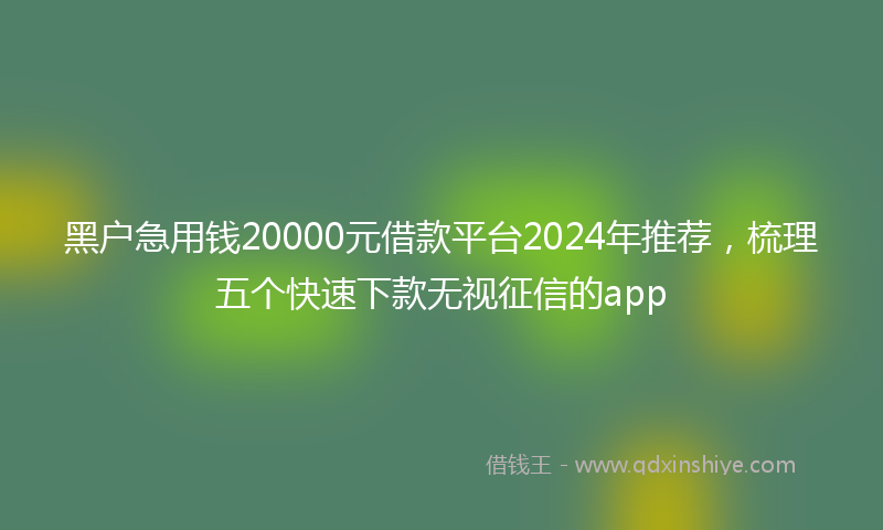 黑户急用钱20000元借款平台2024年推荐，梳理五个快速下款无视征信的app