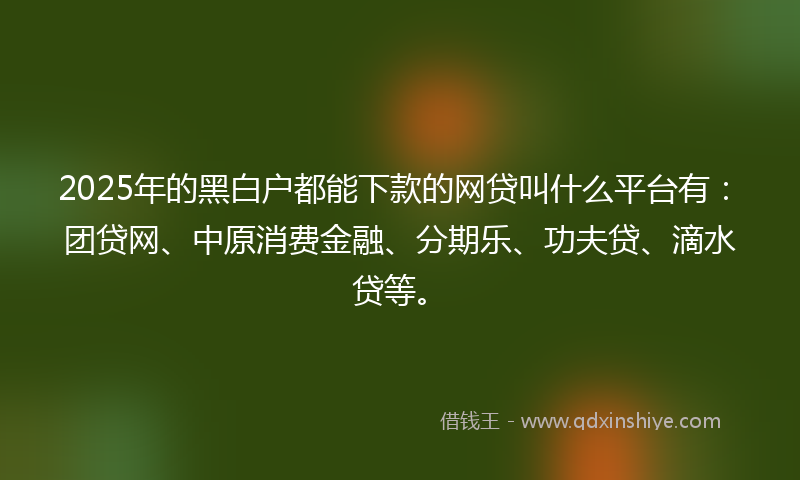 2025年的黑白户都能下款的网贷叫什么平台有：团贷网、中原消费金融、分期乐、功夫贷、滴水贷等。