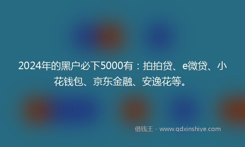 2024年的黑户必下5000有：拍拍贷、e微贷、小花钱包、京东金融、安逸花等。