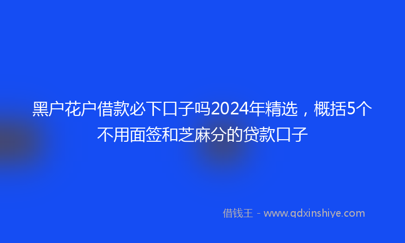 黑户花户借款必下口子吗2024年精选，概括5个不用面签和芝麻分的贷款口子