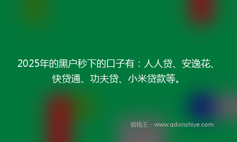 2025年的黑户秒下的口子有：人人贷、安逸花、快贷通、功夫贷、小米贷款等。