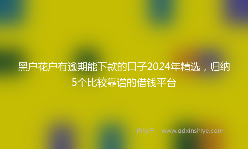 黑户花户有逾期能下款的口子2024年精选，归纳5个比较靠谱的借钱平台
