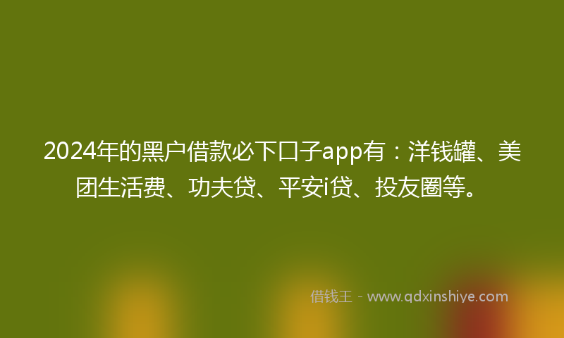2024年的黑户借款必下口子app有：洋钱罐、美团生活费、功夫贷、平安i贷、投友圈等。