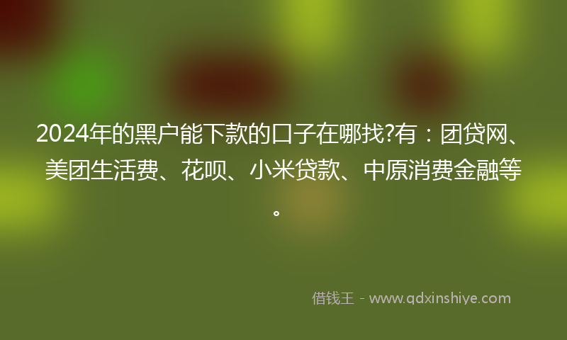 2024年的黑户能下款的口子在哪找?有：团贷网、美团生活费、花呗、小米贷款、中原消费金融等。