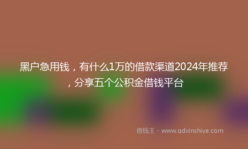 黑户急用钱，有什么1万的借款渠道2024年推荐，分享五个公积金借钱平台
