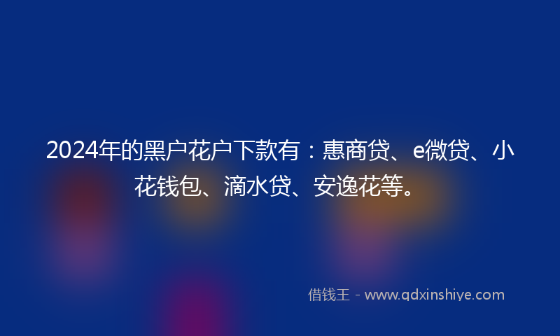2024年的黑户花户下款有：惠商贷、e微贷、小花钱包、滴水贷、安逸花等。