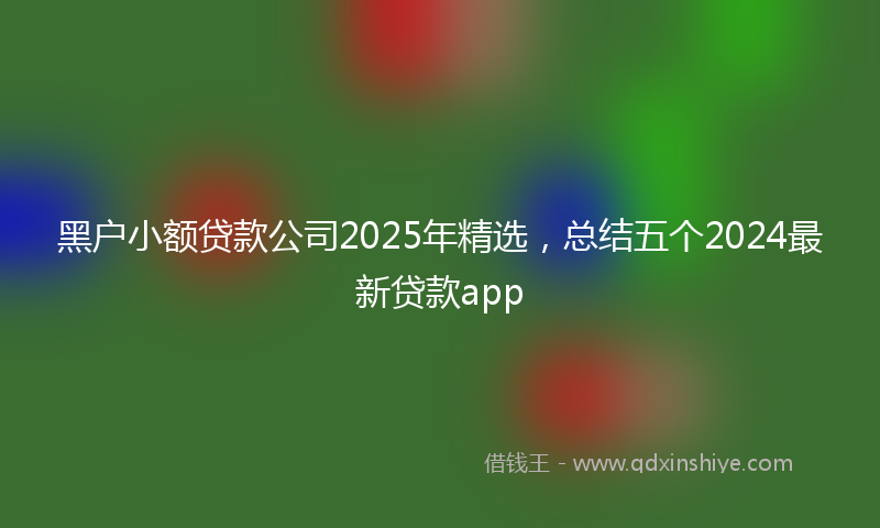 黑户小额贷款公司2025年精选，总结五个2024最新贷款app