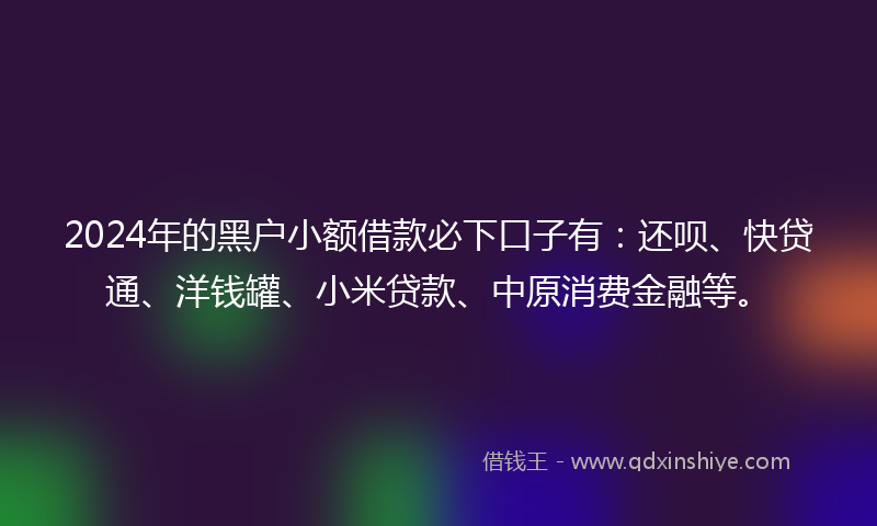 2024年的黑户小额借款必下口子有：还呗、快贷通、洋钱罐、小米贷款、中原消费金融等。
