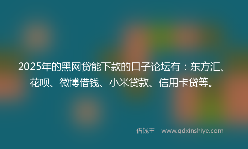 2025年的黑网贷能下款的口子论坛有：东方汇、花呗、微博借钱、小米贷款、信用卡贷等。