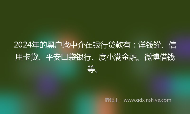 2024年的黑户找中介在银行贷款有：洋钱罐、信用卡贷、平安口袋银行、度小满金融、微博借钱等。