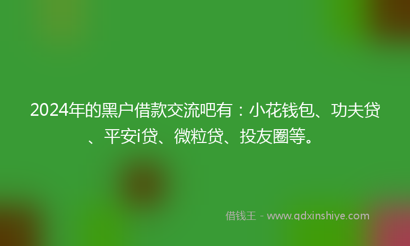 2024年的黑户借款交流吧有：小花钱包、功夫贷、平安i贷、微粒贷、投友圈等。